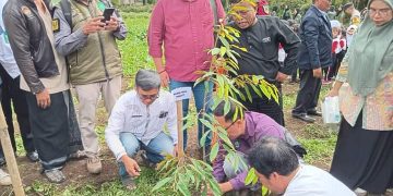 Camat Sukaraja Sambut Baik Gerakan Penanaman Pohon Serentak Oleh Dishut Jabar