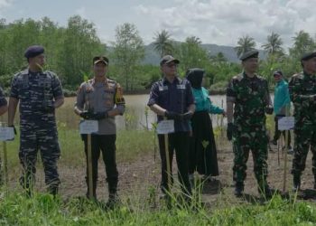 Tanami 5000 Pohon Magrove Di Pantai Palangpang Sukabumi, Jaga Biodeversity