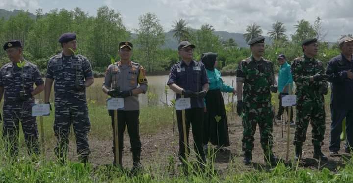 Tanami 5000 Pohon Magrove Di Pantai Palangpang Sukabumi, Jaga Biodeversity
