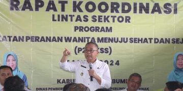 Desa Cicareuh Cikidang Jadi Lokus P2WKSS, Wabup Memiliki Potensi Untuk Di Kembangkan