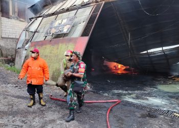 Babinsa Gerak Cepat Bantu Padamkan Kebakaran Pabrik Triplek PT Utama Global Timber