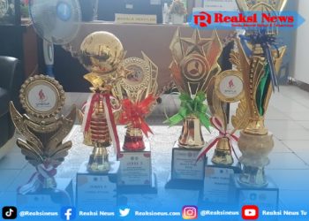 SDN Ciseureuh Terus Mengembangkan Potensi Peserta Didiknya Sehingga Beberapa Prestasinya Diraih