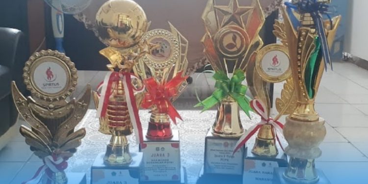 SDN Ciseureuh Terus Mengembangkan Potensi Peserta Didiknya Sehingga Beberapa Prestasinya Diraih