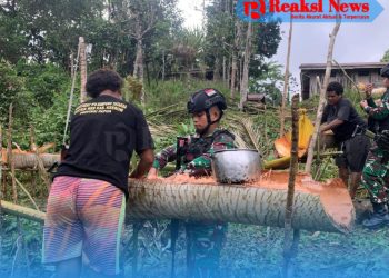 Pelihara Tradisi dan Budaya, Satgas Yonif 310/KK Olah Sagu Bersama Warga