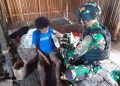 Tanggap Malaria, Bentuk Responsif Satgas Yonif 310/KK Obati Mama Di Pedalaman Papua