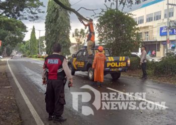 Unit Patroli 07A Polsek Lembursitu Bersama BPBD Amankan Pohon Tumbang