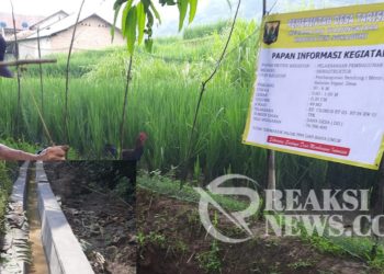 Dorong Kelancaran Bertani, Pemdes Tarisi Bangun Irigasi