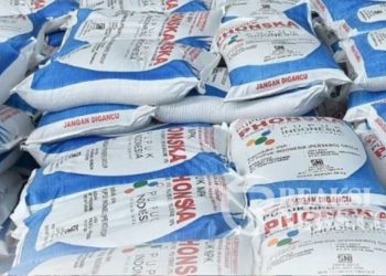 Paul Aktivis Sosial Soroti Pendistribusian Pupuk Subsidi, Diduga Rawan Diselewengkan, Ini Penjelasannya