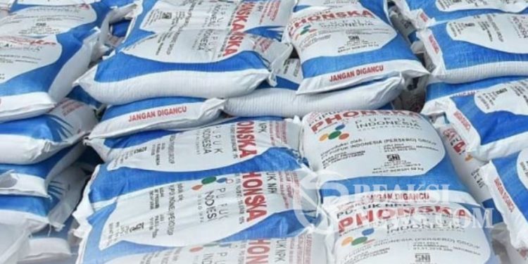 Paul Aktivis Sosial Soroti Pendistribusian Pupuk Subsidi, Diduga Rawan Diselewengkan, Ini Penjelasannya