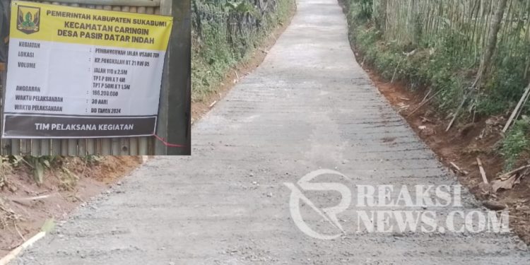 Permudah Aktivitas Warga Pemdes PDI Gunakan Anggaran DD Fokus Bangun Infrastruktur Jalan Rabat Beton Dan TPT