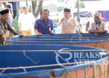 Si Bulat Merah di Ponpes Assalam Dapat lirikan Dari FAO Of The United Nations