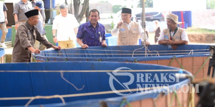 Si Bulat Merah di Ponpes Assalam Dapat lirikan Dari FAO Of The United Nations