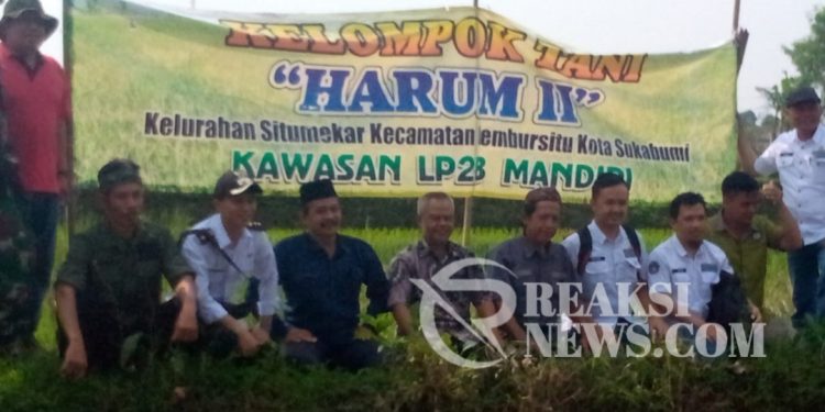 Aspepal Menjadi Pelopor Pengendalian Lahan Pertanian di Perkotaan
