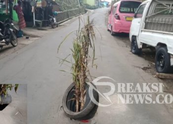 Terkesan Dinas Terkait Lambat, Warga Inisiatif Pasang Pohon di Tengah Jalan
