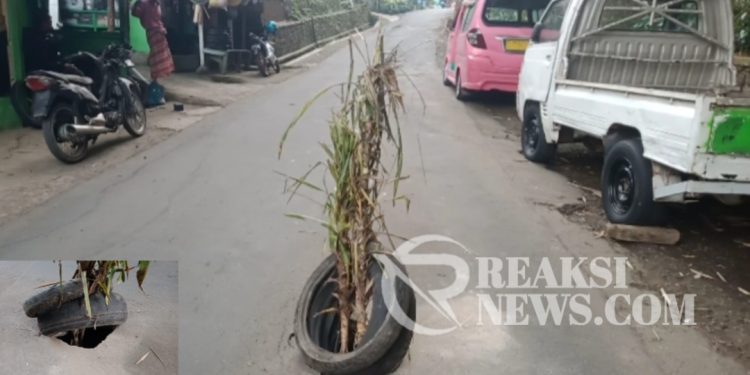 Terkesan Dinas Terkait Lambat, Warga Inisiatif Pasang Pohon di Tengah Jalan