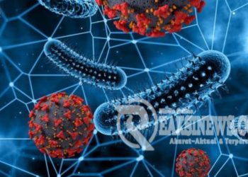 Wow Ngeri Banget.! Jepang Dilanda Kasus Infeksi STSS Bakteri Pemakan Daging.?