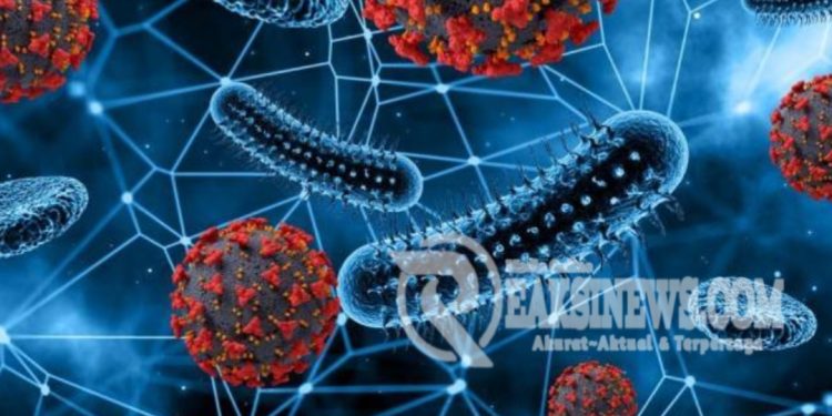 Wow Ngeri Banget.! Jepang Dilanda Kasus Infeksi STSS Bakteri Pemakan Daging.?