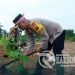 Hari Bhayangkara Tahun 2024, Polda Aceh Lakukan Bakti Sosial Menanam Seribu Pohon