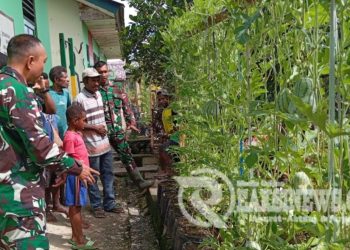 Ciptakan Kemandirian Ekonomi Masyarakat Perbatasan, Satgas Yonif 310/KK Gelar Penyuluhan Pertanian