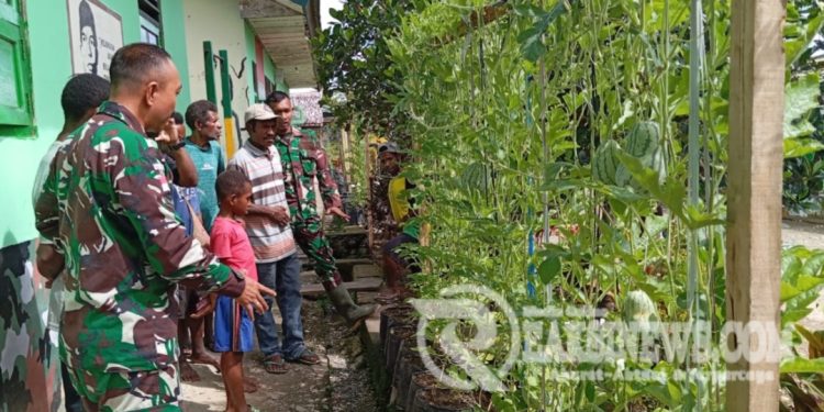 Ciptakan Kemandirian Ekonomi Masyarakat Perbatasan, Satgas Yonif 310/KK Gelar Penyuluhan Pertanian