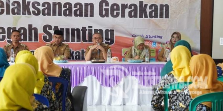 Pelaksanaan Gerakan Cegah Stunting, Memprioritaskan Sasaran Ibu Hamil