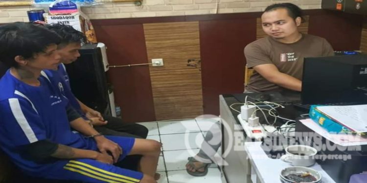 Produksi Ganja, Warga Citamiang Kota Sukabumi Dibekuk Polisi