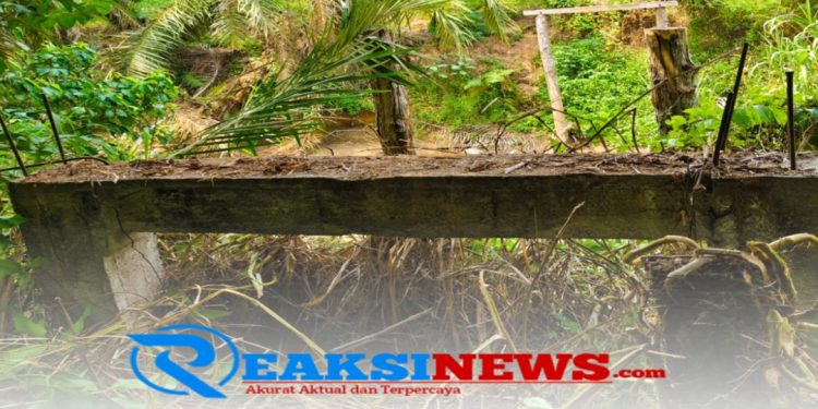 Delapan Tahun Terbengkalai, Jembatan Penghubung Dua Desa di Serdang Bedagai Butuh Perhatian