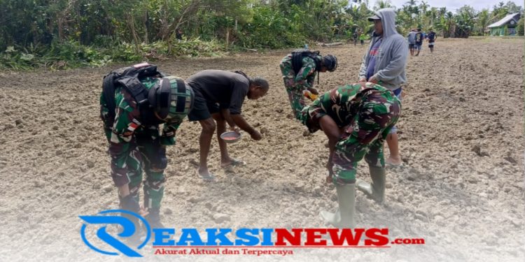 Semangat Swasembada Pangan, Satgas Yonif 310/KK Bersama Warga Perbatasan Tanam Bibit Jagung