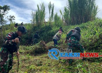 Jelang HUT RI Ke-79, Satgas Yonif 310/KK Gelar Karya Bakti Bersama Warga Di Pegunungan Bintang
