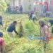 Kampung Bersih, Satgas Yonif 310/KK Ajak Warga Bersihkan Lingkungan Sekitar