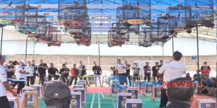 Lomba Burung Berkicau Piala Pj. Wali Kota Sukabumi, Lestarikan Kekayaan Fauna