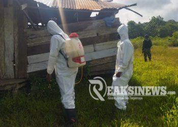 Penyemprotan Residu dan Berikan Pelayanan Kesehatan, Kiat Satgas Yonif 310/KK Cegah Malaria di Papua