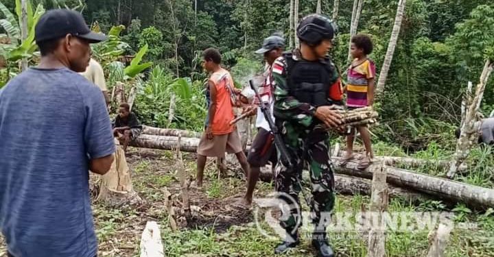 Satgas Yonif 310/KK Bantu Warga Merawat Kebun, Demi Tingkatkan Hasil Panen