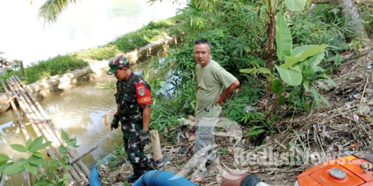 Sertu Didik Susanto Terjun Langsung Memastikan Ketahanan Pangan Berjalan Di Wilayahnya