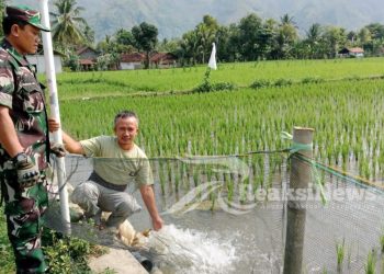 Sertu Didik Susanto Pastikan Ketahanan Pangan Diwilayahnya Dapat Berjalan Dengan Baik