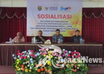 Dorong Investasi dan Pertumbuhan Ekonomi, DPMPTSP Kabupaten Sukabumi Gelar Sosialisasi