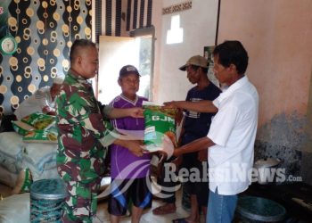 Serka Endan Dampingi Penyaluran Bibit Padi Jenis Invari Di Desa Ubrug