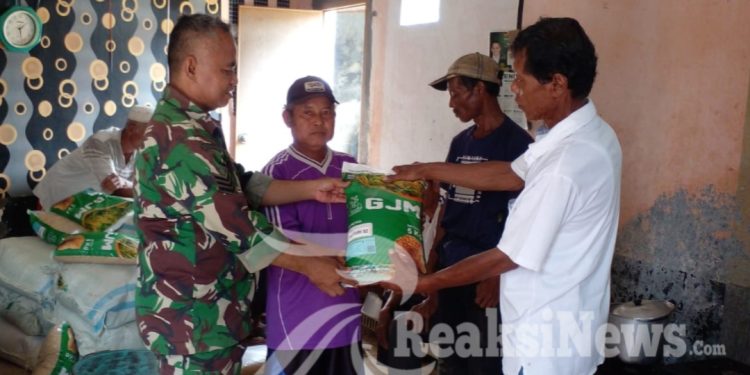 Serka Endan Dampingi Penyaluran Bibit Padi Jenis Invari Di Desa Ubrug