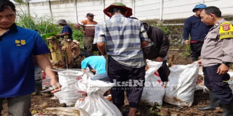 Jalin Kehangatan dan Kebersamaan, Bhabinkamtibmas Polsek Baros Gelar Kerja Bakti dengan Warga Ciwaringin