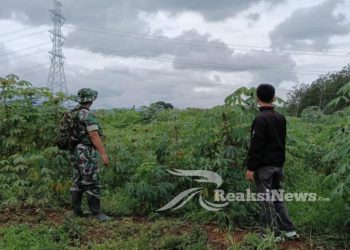 Sertu Suparno Babinsa Buanajaya Lakukan Pendampingan Hanpangan Pada Poktan Di Bantargadung
