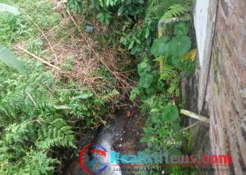 Refleksi Tata Kelola Ijin Perumahan, Ruang Terbuka Hijau, Pengembang dan Perbankan Kota Sukabumi