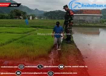 Sertu Didik Susanto Koramil 2203/Warungkiara Dampingi Poktan di Wilayahnya