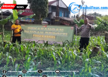 Dukungan Program Ketahanan Pangan Nasional, Polsek Baros Siapkan Lahan Jagung dan Palawija