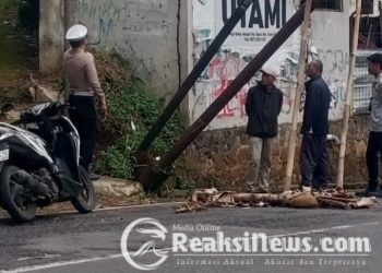 Antisipasi Lakalantas, Polsek Baros Evakuasi Tiang Kabel Internet melintang hambat Arus Lalin Jl.Raya Baros