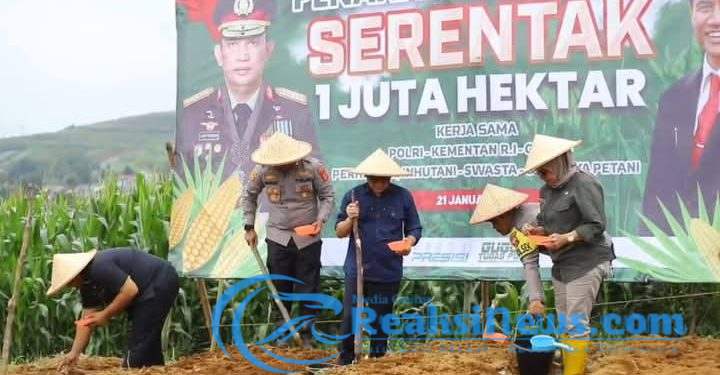 Penanaman Jagung Serentak 1 Juta Hektar Dukung Swasembada Pangan 2025