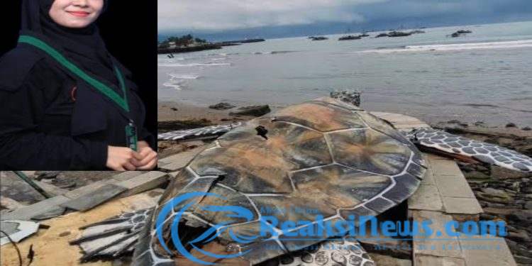 Kritik Terhadap Proyek Patung Penyu Rp15,6 Miliar: Antara Transparansi dan Prioritas Pembangunan