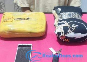 Ringkus Dua Pengedar Narkoba, Sat Narkoba Polres Sukabumi Kota Amankan 1,52 Kilogram Ganja