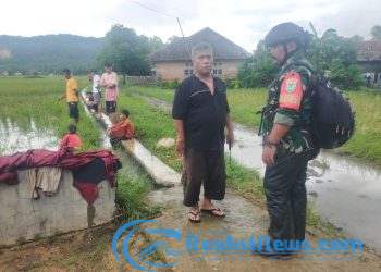 Pasca Hujan Dengan Intensitas Tinggi, Koptu Ravanto Babinsa Koramil 2203/Warungkiara Tinjau Lahan Sawah Milik Poktan Di Bantargadung