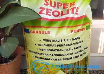 Ebes Aktivis Sosial Minta KDM Gubernur Jabar dan Asjap Bupati Sukabumi Tutup Produksi pupuk ilegal di Sukabumi, salah satunya CV Duta Limas, milik Felix.