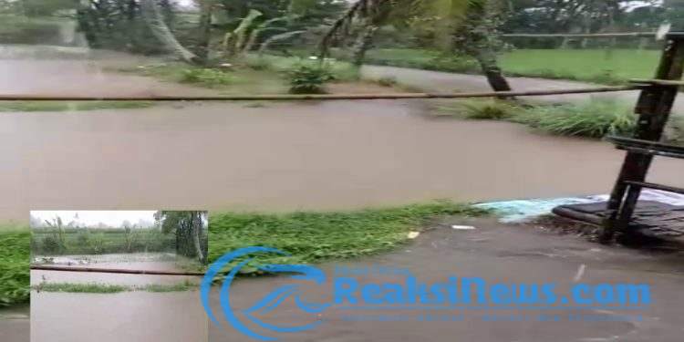 Diguyur Hujan Deras Mengakibatkan Kali Ciwalungan Meluap, Beberapa Sawah Terendam